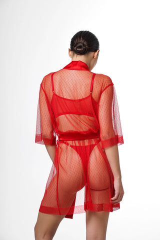 38. Red robe see through, boudoir sheer nightwear